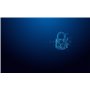 Kingston Technology IronKey 32 Go USB-C Vault Privacy 50C chiffrée AES-256, FIPS 197