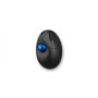 Kensington Pro Fit Ergo TB450 souris Bureau Droitier RF sans fil + Bluetooth Trackball 1600 DPI