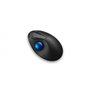 Kensington Pro Fit Ergo TB450 souris Bureau Droitier RF sans fil + Bluetooth Trackball 1600 DPI