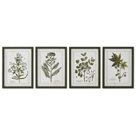 Cadre Home ESPRIT Vert Beige Shabby Chic Plantes botaniques 30 x 2