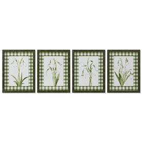 Cadre Home ESPRIT Vert Beige Shabby Chic Plantes botaniques 30 x 2