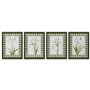 Cadre Home ESPRIT Vert Beige Shabby Chic Plantes botaniques 30 x 2