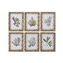 Cadre Home ESPRIT Vert Beige Doré Plantes botaniques 28 x 2