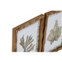 8 x 36 cm (6 Unités)