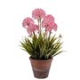 Plante décorative Liège Céramique Plastique 24 x 43 x 24 cm (8 Unités)