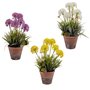 Plante décorative Liège Céramique Plastique 24 x 43 x 24 cm (8 Unités)