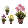 Plante décorative Liège Céramique Plastique 24 x 43 x 24 cm (8 Unités)