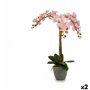 Plante décorative Orchidée Plastique 29 x 78 x 35 cm (2 Unités)