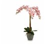 Plante décorative Orchidée Plastique 29 x 78 x 35 cm (2 Unités)