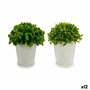 Plante décorative Plastique 13 x 17 x 13 cm (12 Unités)