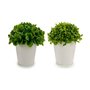 Plante décorative Plastique 13 x 17 x 13 cm (12 Unités)