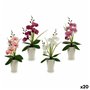 Fleur décorative Orchidée Plastique 14 x 35 x 8 cm (12 Unités)