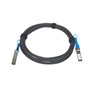 NETGEAR AXC767 câble InfiniBand et à fibres optiques 7 m SFP+ Noir