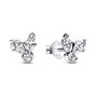 Boucles d´oreilles Femme Pandora SPARKLING HERBARIUM Argent 925