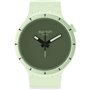 Montre Homme Swatch SB03G100