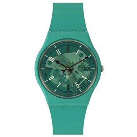 Montre Homme Swatch SO28G108