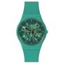 Montre Homme Swatch SO28G108