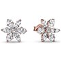 Boucles d´oreilles Femme Pandora 282407C01 Argent 925