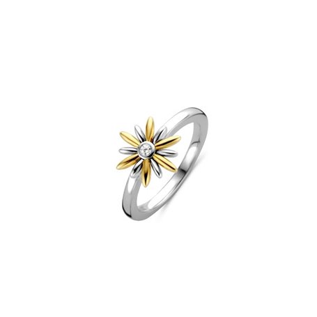 Bague Femme Ti Sento 12244ZY/56 16