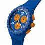 Montre Homme Swatch SUSN419