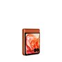 Motorola RAZR 50 6,9" 3,6" 8 GB RAM 256 GB Orange