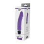 Vibromasseur Dream Toys Vibes of Love Violet