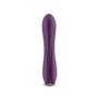 Vibromasseur à boules NS Novelties Obsessions Violet