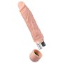 Gode réaliste Blush Dr Skin Silicone ABS Ø 5 cm