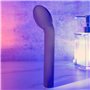 Vibrateur G-Spot Evolved Violet