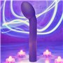 Vibrateur G-Spot Evolved Violet