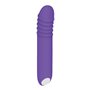 Vibrateur G-Spot Evolved Violet