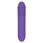 Vibrateur G-Spot Evolved Violet