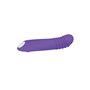 Vibrateur G-Spot Evolved Violet