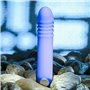 Vibrateur G-Spot Evolved Violet