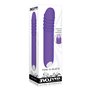 Vibrateur G-Spot Evolved Violet