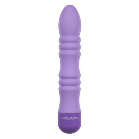 Vibromasseur à boules Evolved Violet