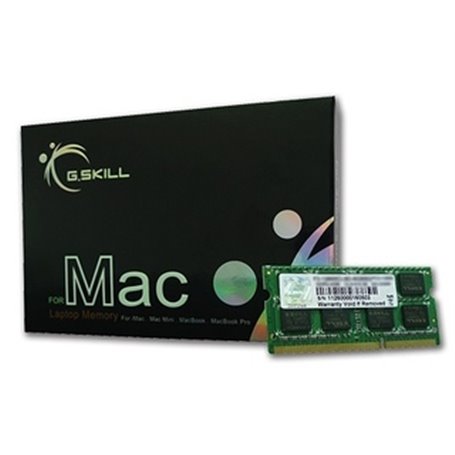 G.Skill 4GB DDR3-1066 SQ MAC module de mémoire 4 Go 1 x 4 Go 1066 MHz