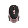 Inca IWM-211RG souris Droitier RF sans fil Optique 1600 DPI