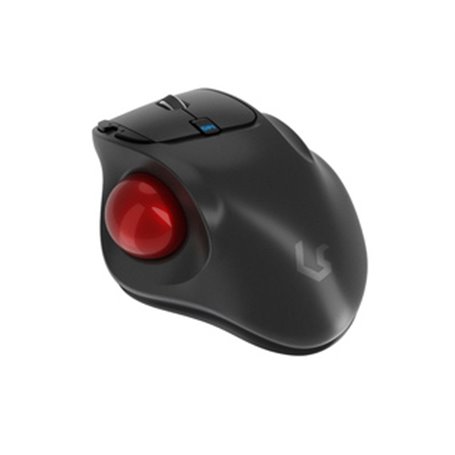 KeySonic KSM-6101RF-EGT souris Droitier RF sans fil 1000 DPI