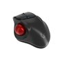 KeySonic KSM-6101RF-EGT souris Droitier RF sans fil 1000 DPI