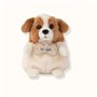 Bt Chaps chien creme et marron en peluche