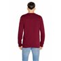 Tommy Hilfiger Jeans Pull Homme 96363