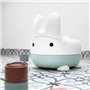 POT LAPIN