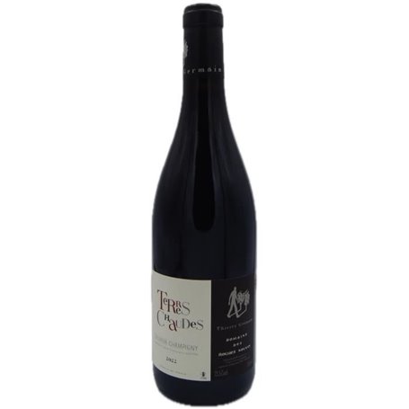 Domaine des Roches Neuves Cuvée Terres Chaudes 2022 Saumur Champigny - Vin rouge de Loire - Bio