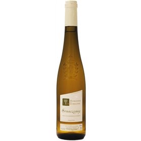 Domaine de Terrebrune 2021 Bonnezeaux - Vin blanc de Loire - 50cl