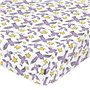 Drap housse HappyFriday LE PETIT PRINCE Multicouleur 105 x 200 x 32 cm