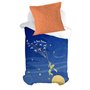 Taie d'oreiller HappyFriday Le Petit Prince Migration Multicouleur 80 x 80 cm