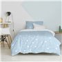 Parure de couette HappyFriday Basic Kids Bleu Lit 1 persone 2 Pièces