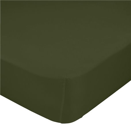 Drap housse HappyFriday BASIC Vert foncé 90 x 200 x 32 cm