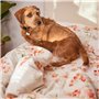 Housse de Couette HappyFriday Riomaggiore Multicouleur 220 x 220 cm